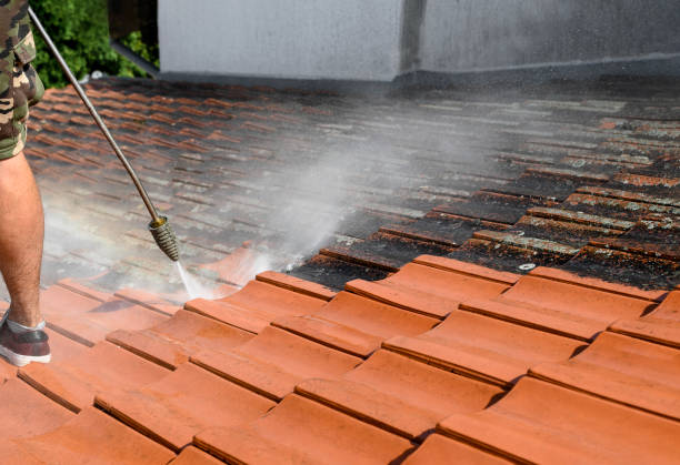 Best Deck Cleaning Services  in Muniz, TX