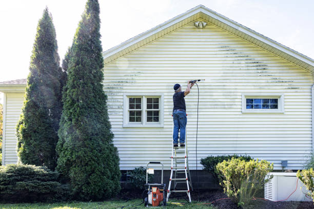 Best Sidewalk Pressure Washing  in Muniz, TX