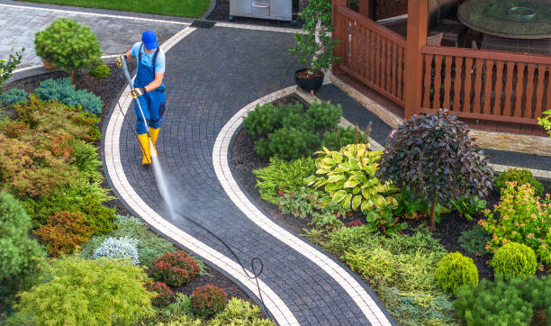 Best Roof Pressure Washing  in Muniz, TX
