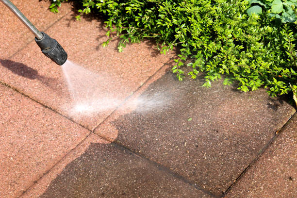 Best Pressure Washing Near Me  in Muniz, TX