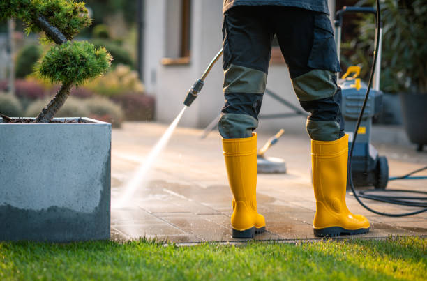 Best Pressure Washing Company Near Me  in Muniz, TX